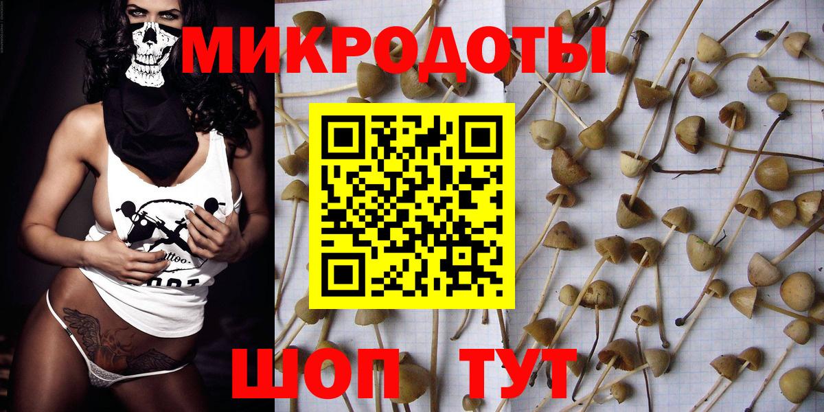 Псилоцибиновые грибы Magic Shrooms Артём