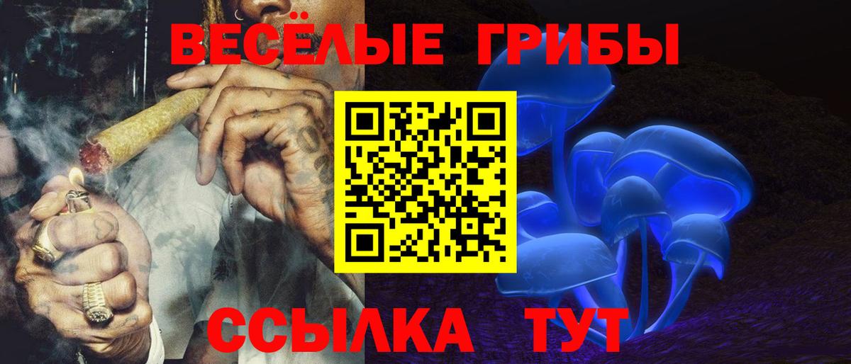 Артём  Псилоцибиновые грибы прущие грибы  Вход с VPN 