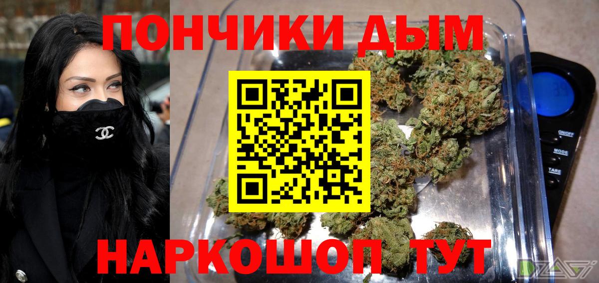 Конопля сатива  Канабис планчик  Артём  Канабис THC 21%  МАРИХУАНА тримм  Вход с VPN 